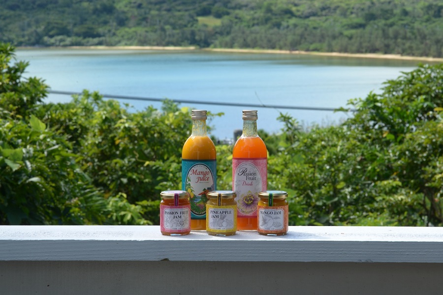 川平ファームが運営する喫茶コッカーラのデッキからの景色