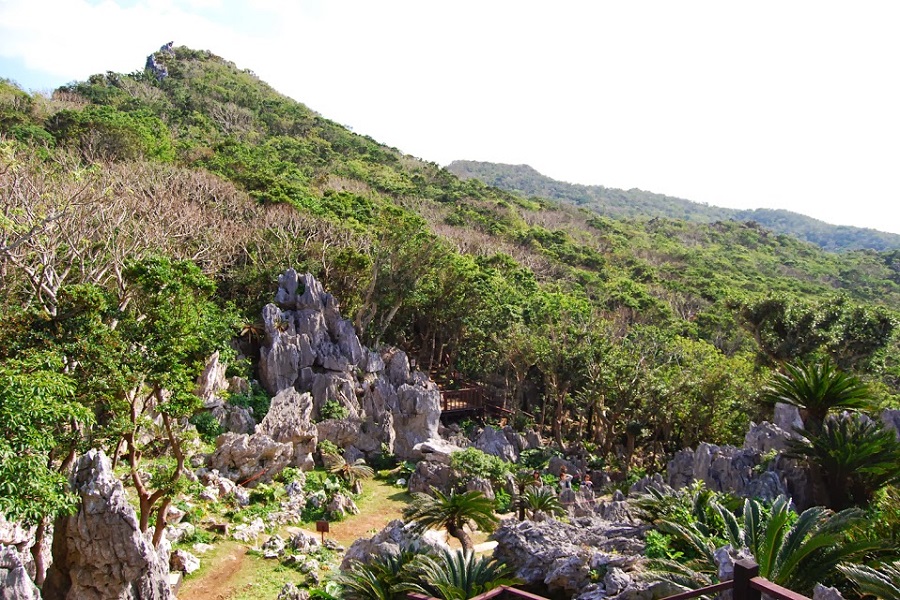 奇岩や巨石、亜熱帯の森など、さまざまな表情を見せる大石林山
