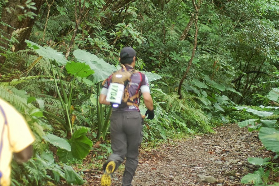 亜熱帯の森を駆け抜ける第1回トレイルランニング大会の様子