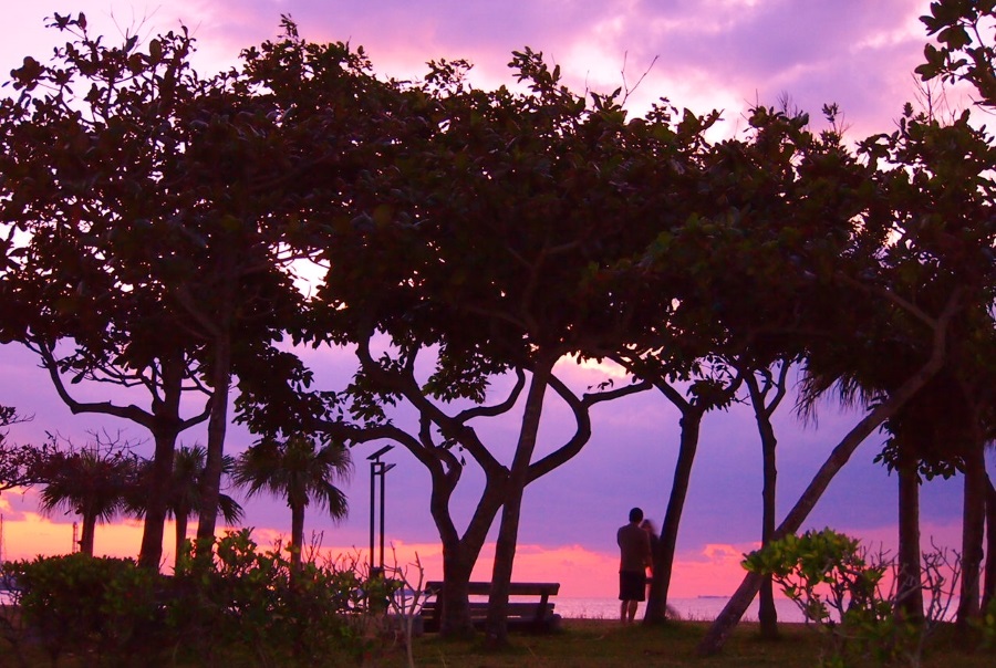 リゾートタウンらしく、何気ない日常に海のある風景が溶け込む 