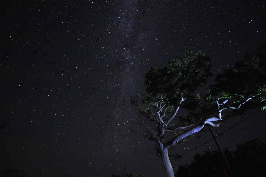ふと見上げれば、頭上に広がる天の川