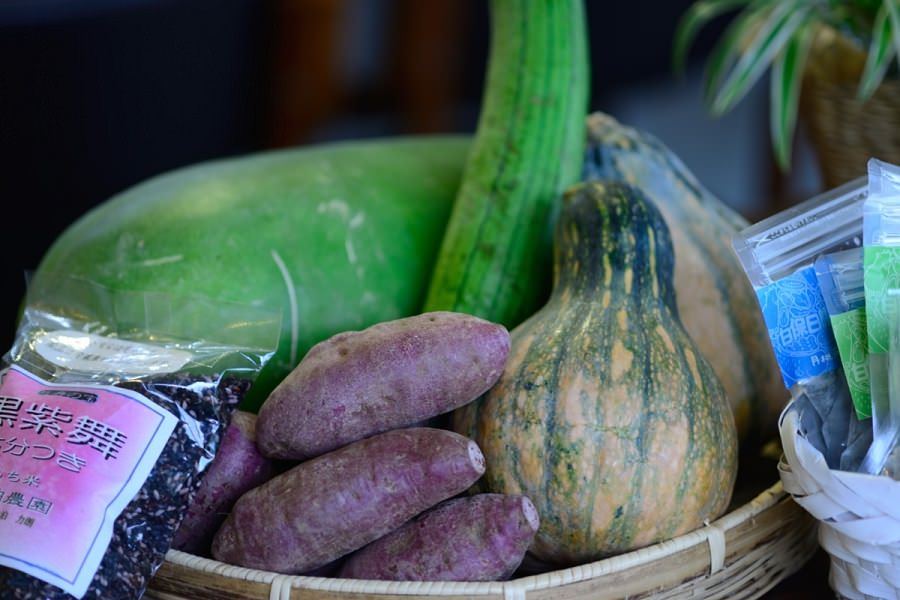 日差しの下、元気に育った島野菜