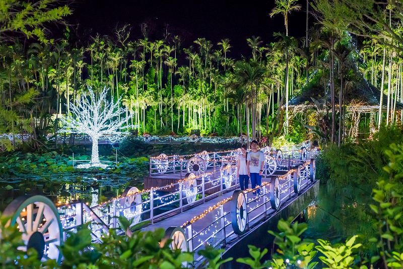 幻想的にライトアップされた園内 (提供 / 東南植物楽園)