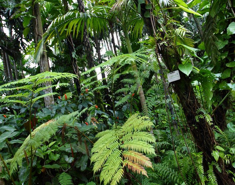 太古の空気がただようパワースポット