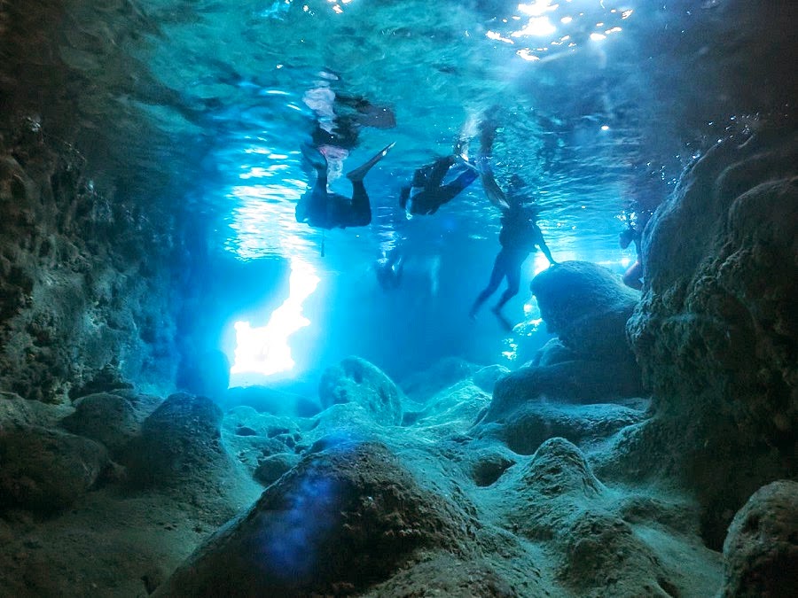 シュノーケルでもこんなに美しい世界を堪能できる。