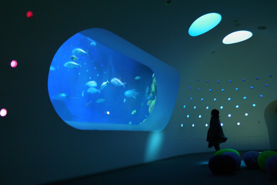 大回遊水槽の水底を観察できる「うみたまホール」