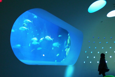 夏の名物「スプラッシュジャンプ」 