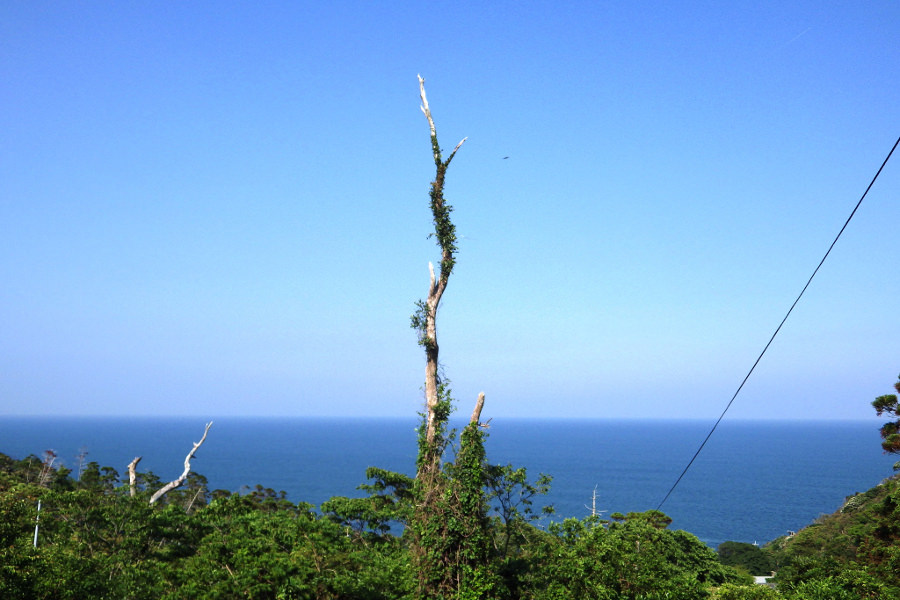 八丁坂上にある別当墓地からの水平線