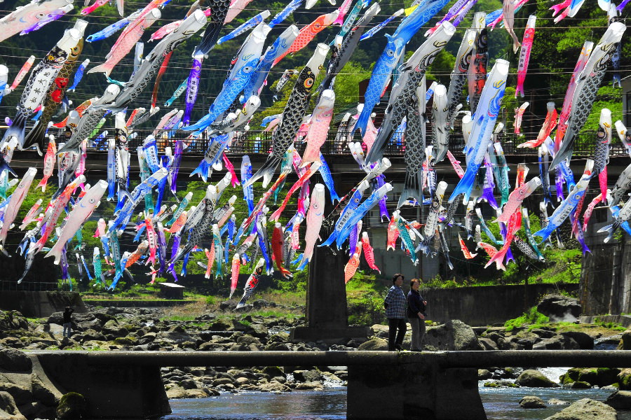 杖立温泉の春の風物詩、鯉のぼりまつり