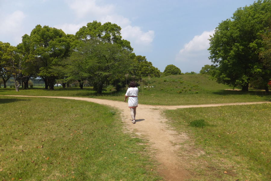 ロマンあふれる神話の道「記紀の道（ききのみち）」