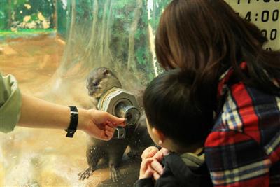 サンピアザ水族館
