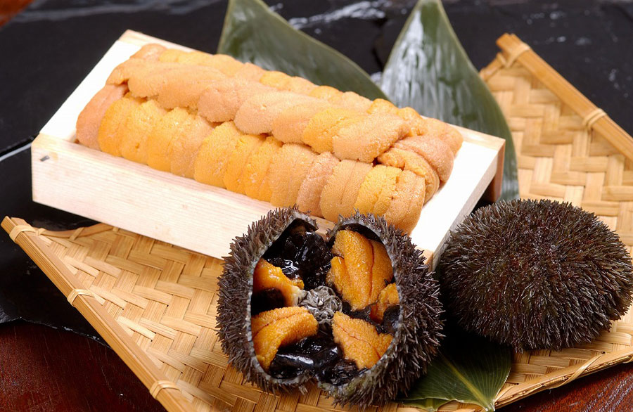 霧多布の昆布を食べて育ったウニはトップクラスの品質を