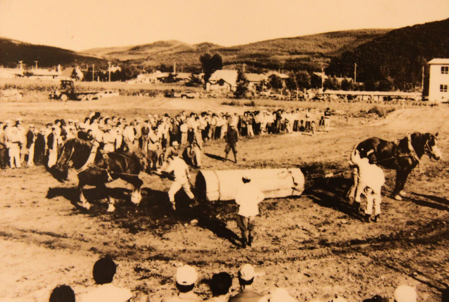 ばんえいルーツ