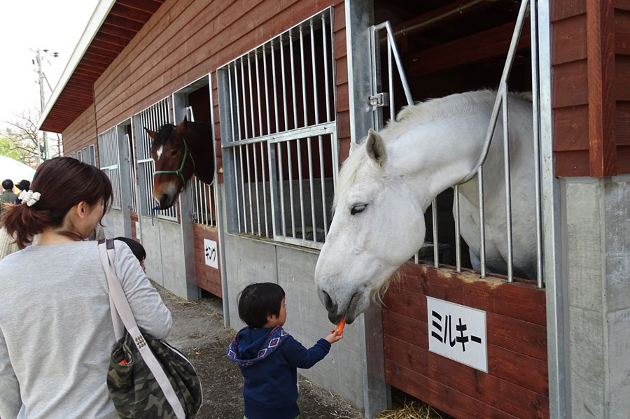 ふれあい動物園