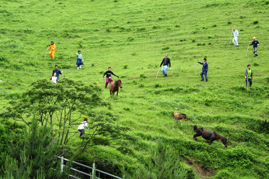 江戸時代から続く駒追いでは、ダニ駆除や個体識別などが行われる