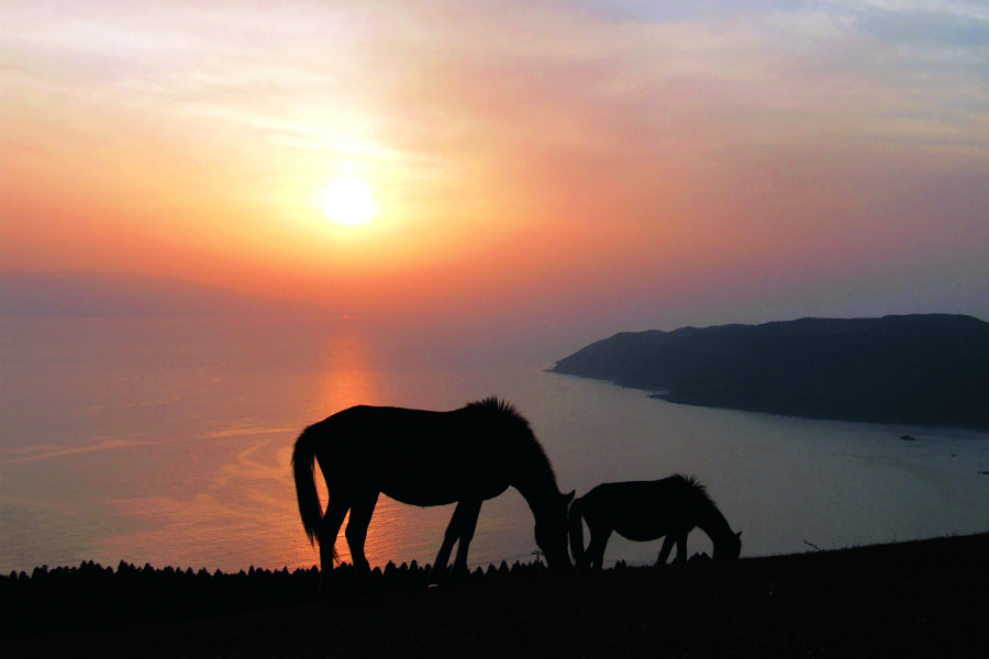 青い海がオレンジ色に移り変わる都井岬の風景