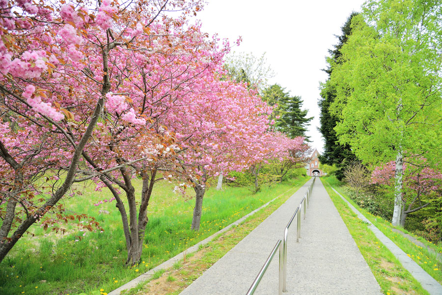 北斗市
