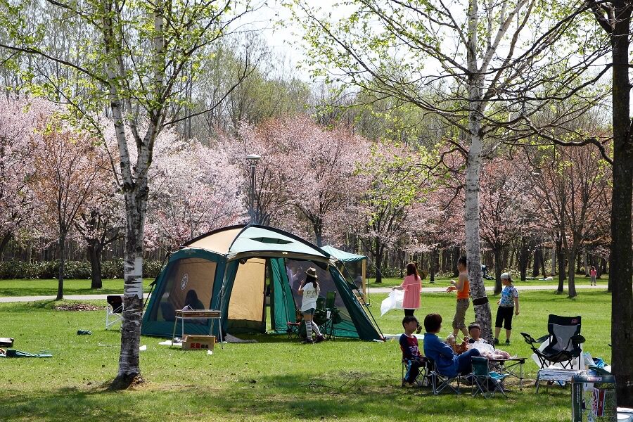 遊具も充実、キャンプ＆花見を楽しめる春光台公園