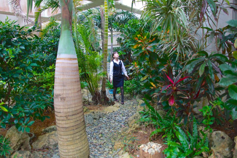 正面玄関にも植物が青々と生えている