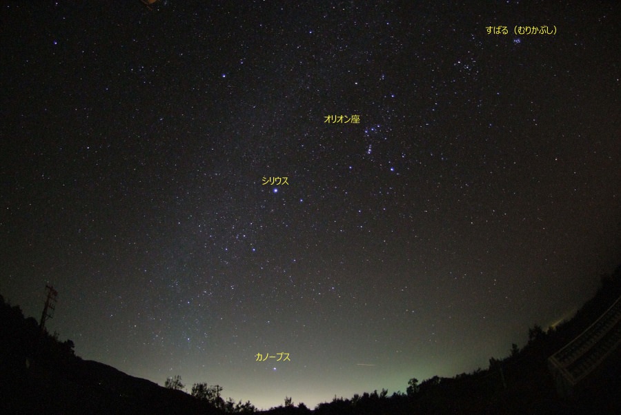 石垣島の冬の星座