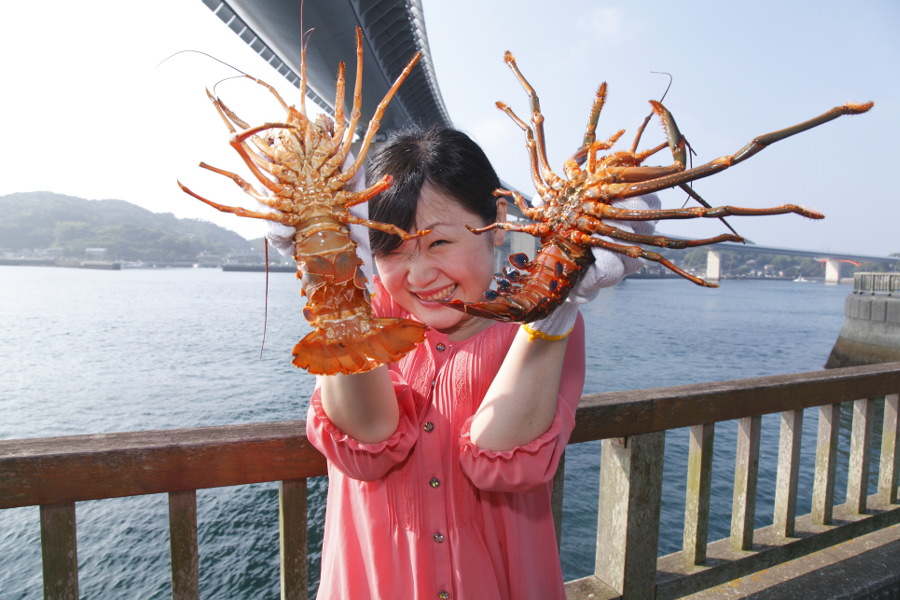 活きのいい伊勢エビは牛深町の特産品だ