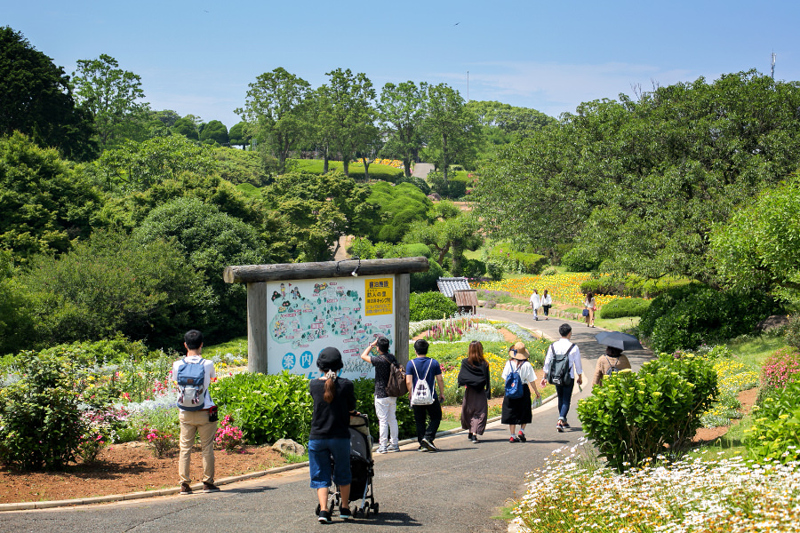 のこのしまアイランドパークでは、自然を大切にした景観が広がる