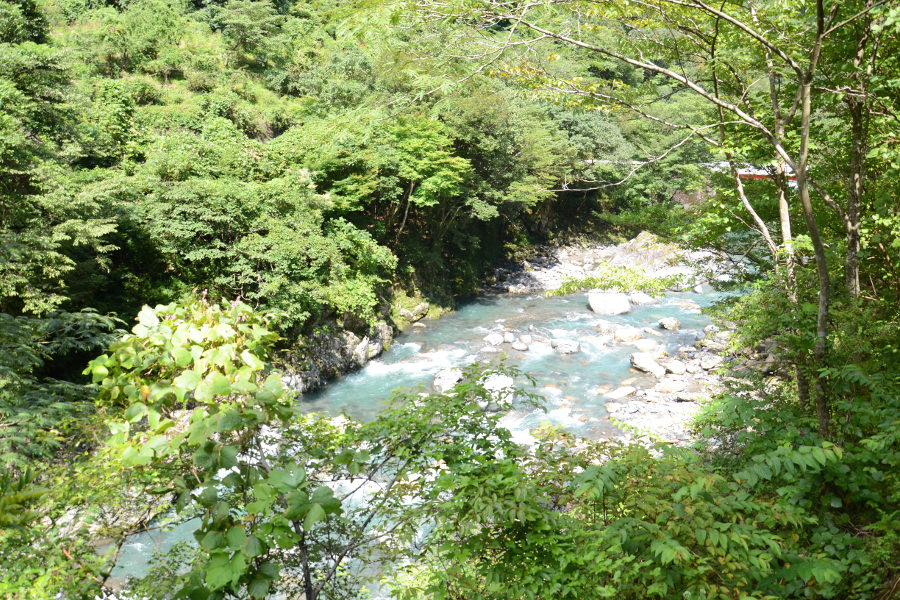清流・川辺川にはヤマメなどの川魚が生息し、食材にもなっている