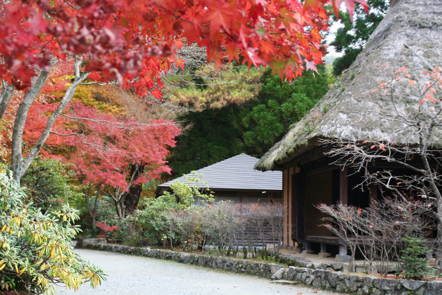 五家荘の代名詞は、やはり“紅葉”