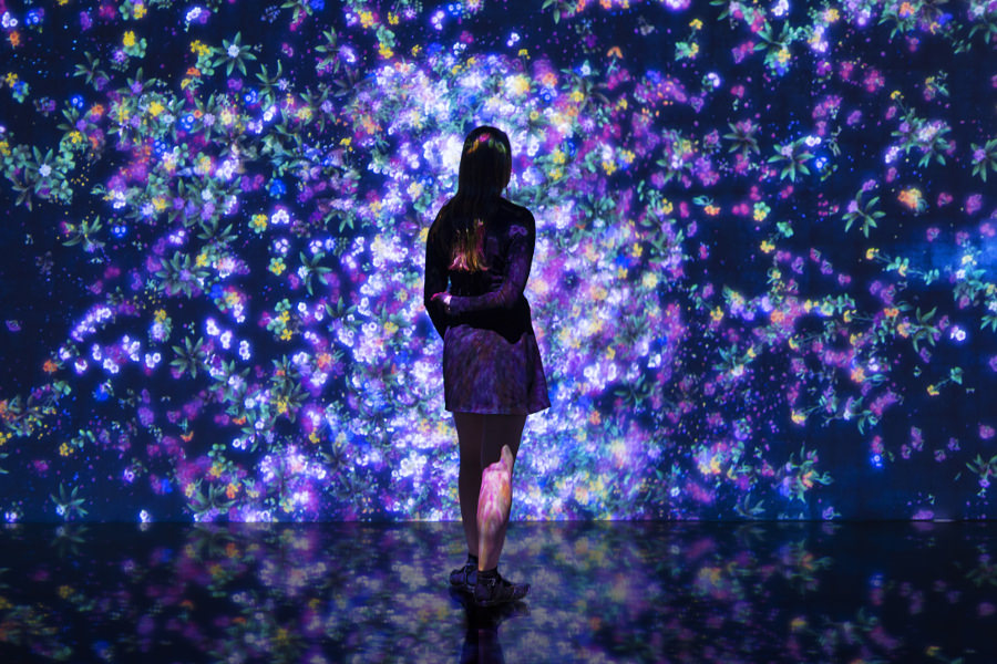 「チームラボギャラリー」の暗闇に浮かび上がる花の作品