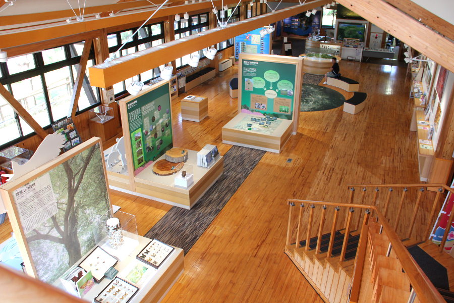 えびの高原“通”になれる情報が盛りだくさんのセンター内