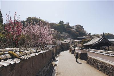 /sightseeing/tatsujin/img/0000550/s4_tat_main.jpg