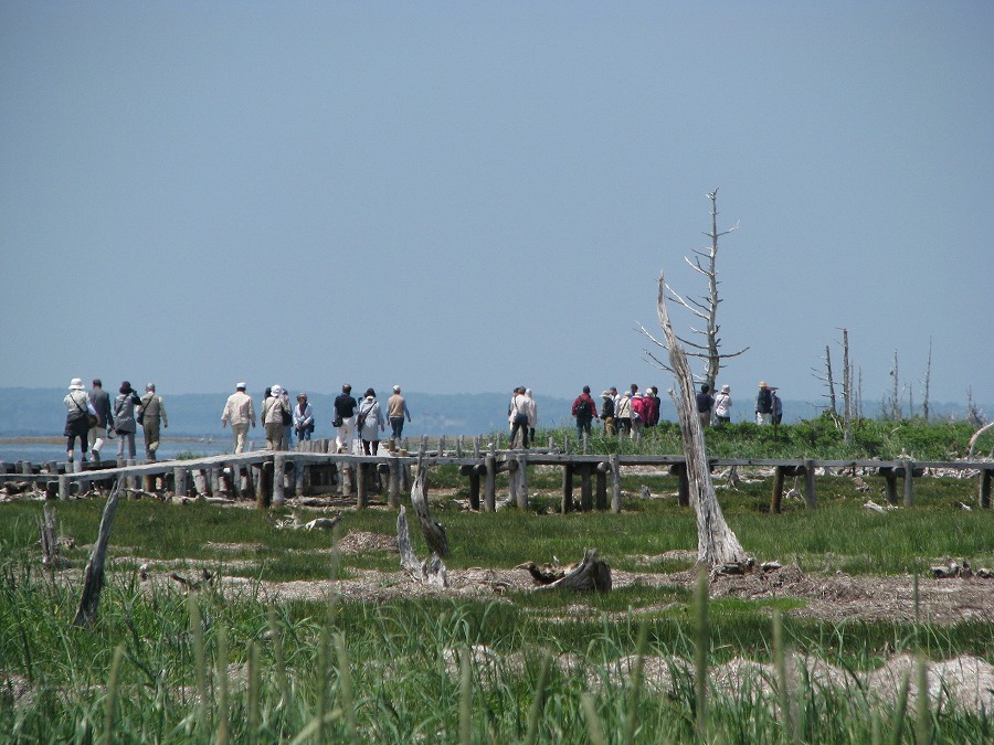 野付半島 トドワラ散策