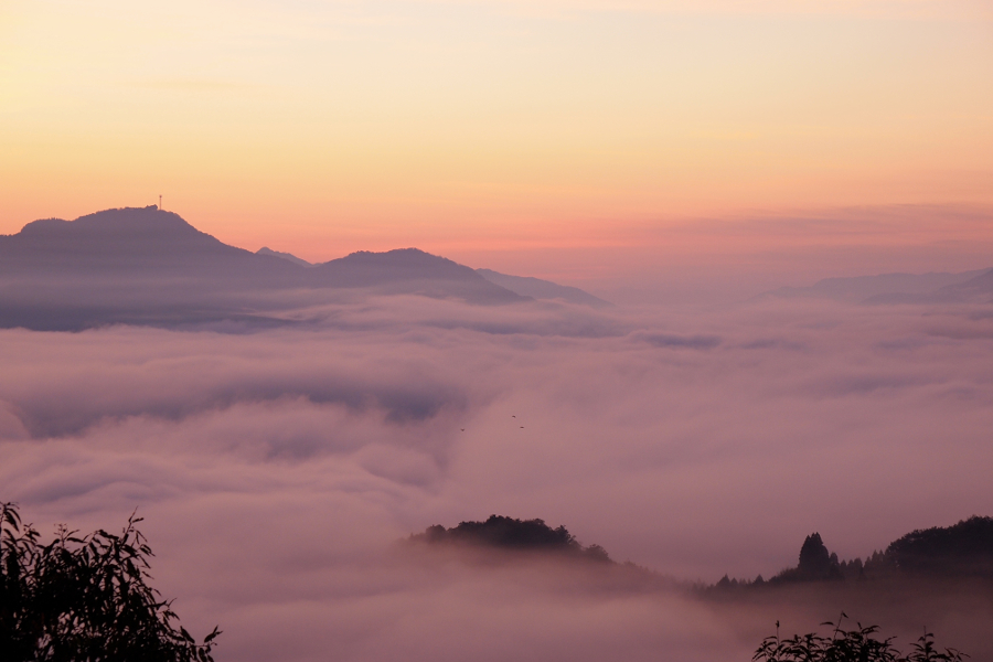 国見ヶ丘から望む幻想的な雲海の眺め