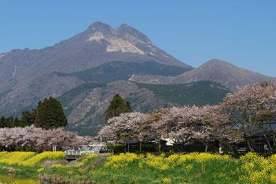 /sightseeing/tatsujin/img/0000580/s4_tat_main.jpg