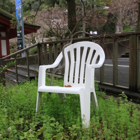 歴史について考える