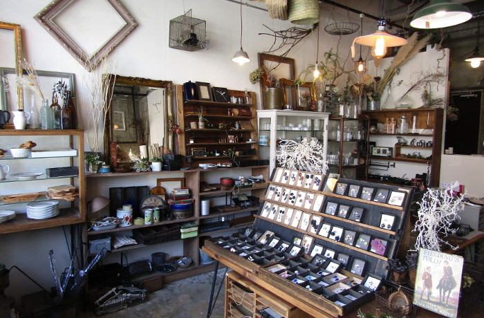 ZAKKA COZA－par ici－（ザッカ コザ　パーリシ）