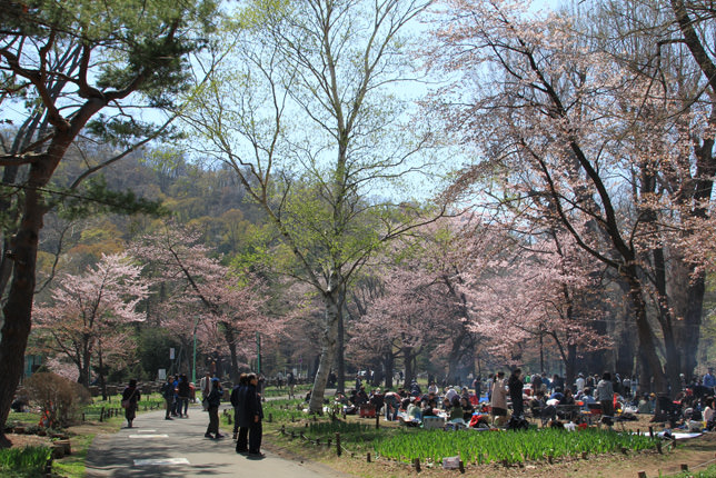 北海道神宮西門前