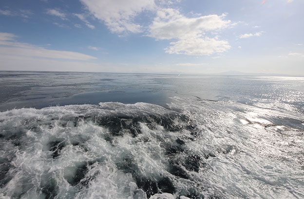 カーテンのように氷が張った海面