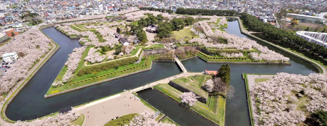 五稜郭公園の桜
