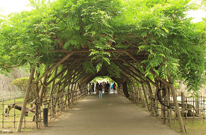 五稜郭公園エントランス
