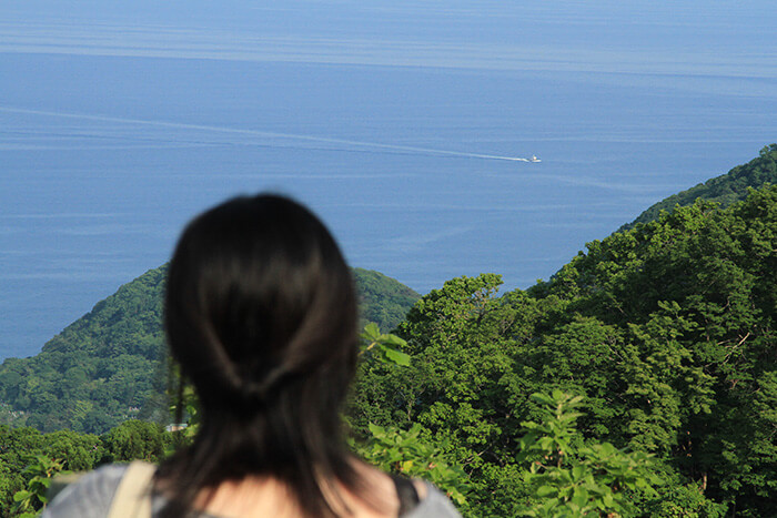 ハイキングコースからの景色