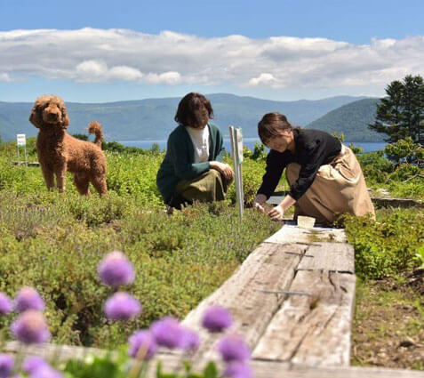 ハーバルランチ