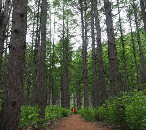 洞爺ガイドセンター