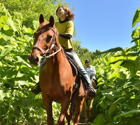 レイクトーヤランチ