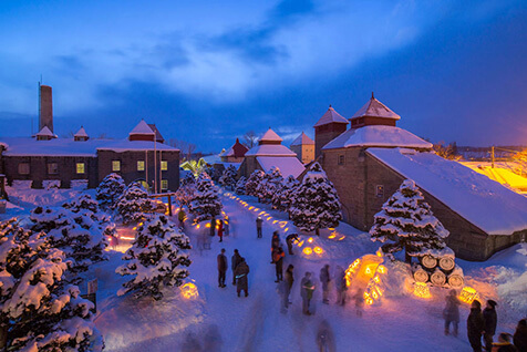 注目の「季節のイベント」と体験プログラム