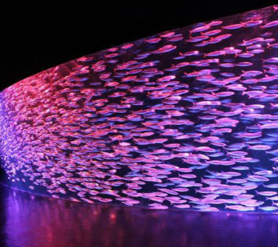 登別マリンパークニクス