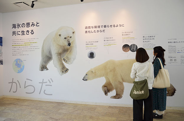 ホッキョクグマ館内部展示