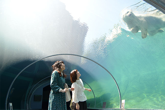 ホッキョクグマ館