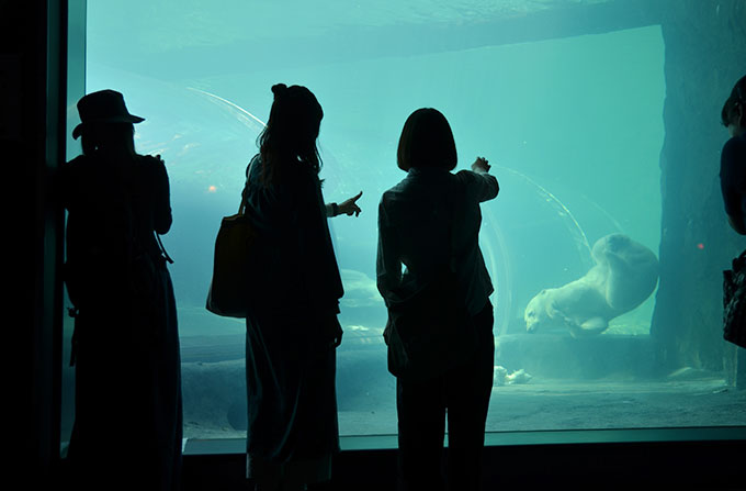 ホッキョクグマ館