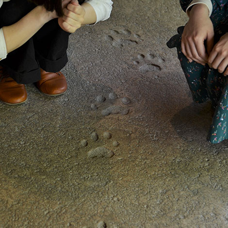 円山動物園　寒帯館